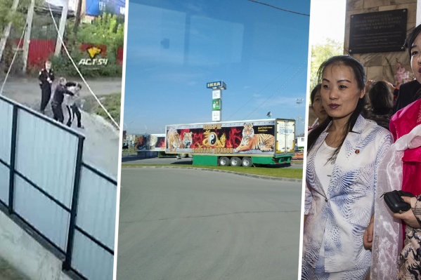 Жёсткое задержание, права животных и мемориальная доска лидеру КНДР стали самыми обсуждаемыми темами Новосибирска в начале сентября Жёсткое задержание, права животных и мемориальная доска лидеру КНДР стали самыми обсуждаемыми темами Новосибирска в начале сентября