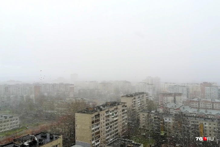 Дождь в Ярославле превратится в снег