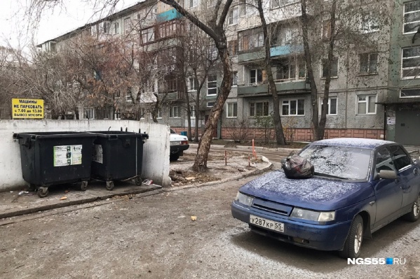 Сюрпризы по утрам не могут не радовать Сюрпризы по утрам не могут не радовать
