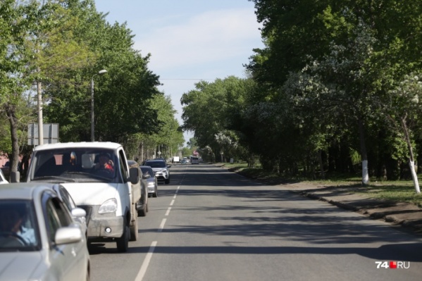 Жители выступили против вырубки деревьев на улице Дарвина Жители выступили против вырубки деревьев на улице Дарвина