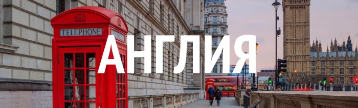 Родителям подали идею, что подарить на Новый год и летние каникулы