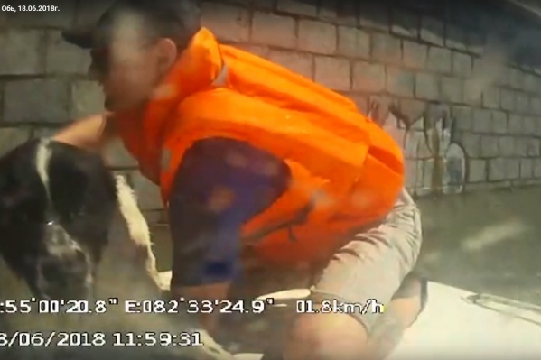 Течение унесло собаку в районе набережной Течение унесло собаку в районе набережной