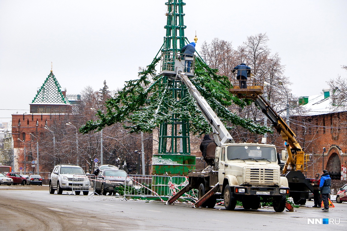 Установок елочка. Елка в Кремле Нижний Новгород. Картинка ёлочек в Нижнем Новгороде. Американские студенты в Нижнем Новгороде на площади Минина. Новогодняя елка в Нижнем Новгороде фото.