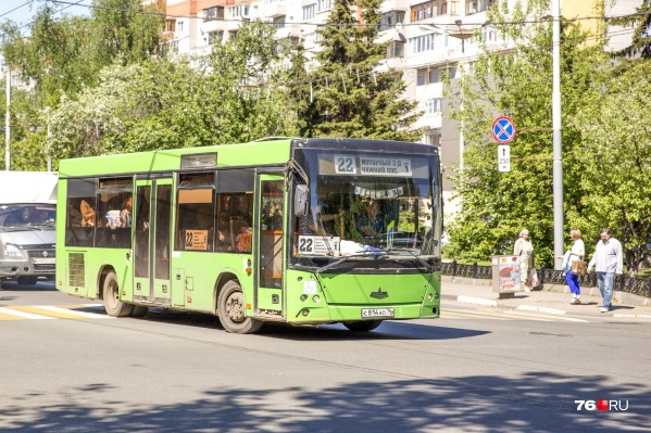 Новые автобусы будут закупать белые Новые автобусы будут закупать белые 