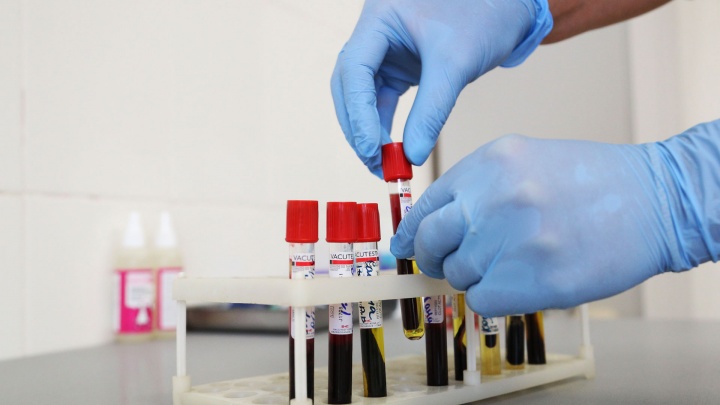 «Срочно нужны тромбоциты»: близкие просят сдать кровь для жительницы Башкирии с острым лейкозом
