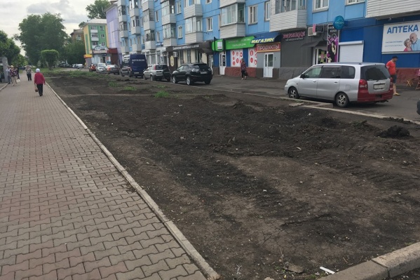 Вместо уродливых ларьков на участке посадили аллею рябин и елей. Просуществовала она меньше года Вместо уродливых ларьков на участке посадили аллею рябин и елей. Просуществовала она меньше года