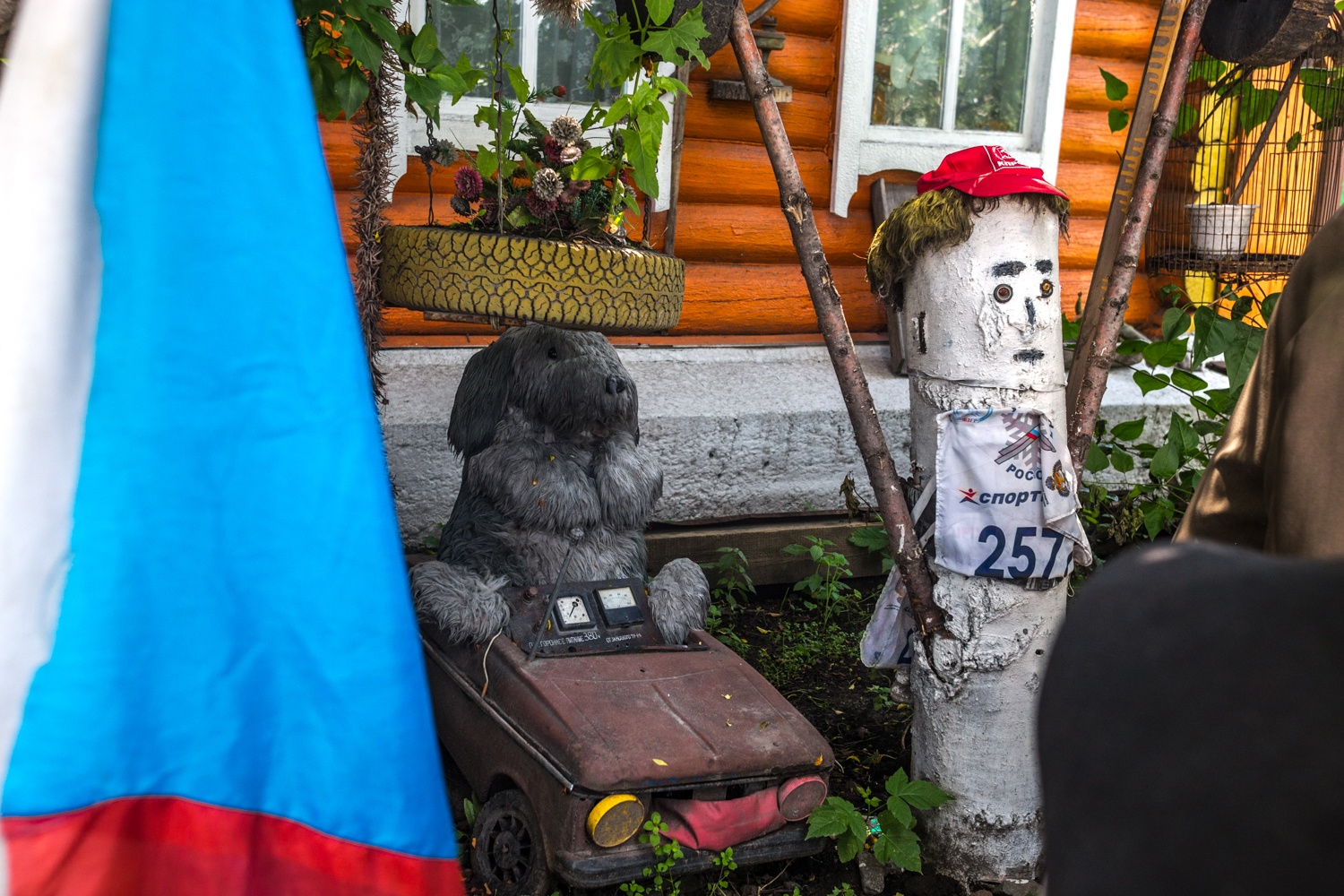 Несколько лет назад появились первые жители знаменитого палисадника Несколько лет назад появились первые жители знаменитого палисадника