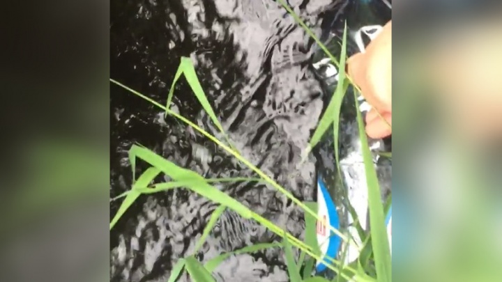 Переполнена опасными сульфатами: общественница опубликовала пробы из почерневшей реки Нора