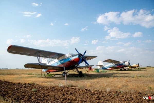 За капитально отремонтированный Ан-2 спортклуб готов заплатить 6,5 миллиона рублей За капитально отремонтированный Ан-2 спортклуб готов заплатить 6,5 миллиона рублей