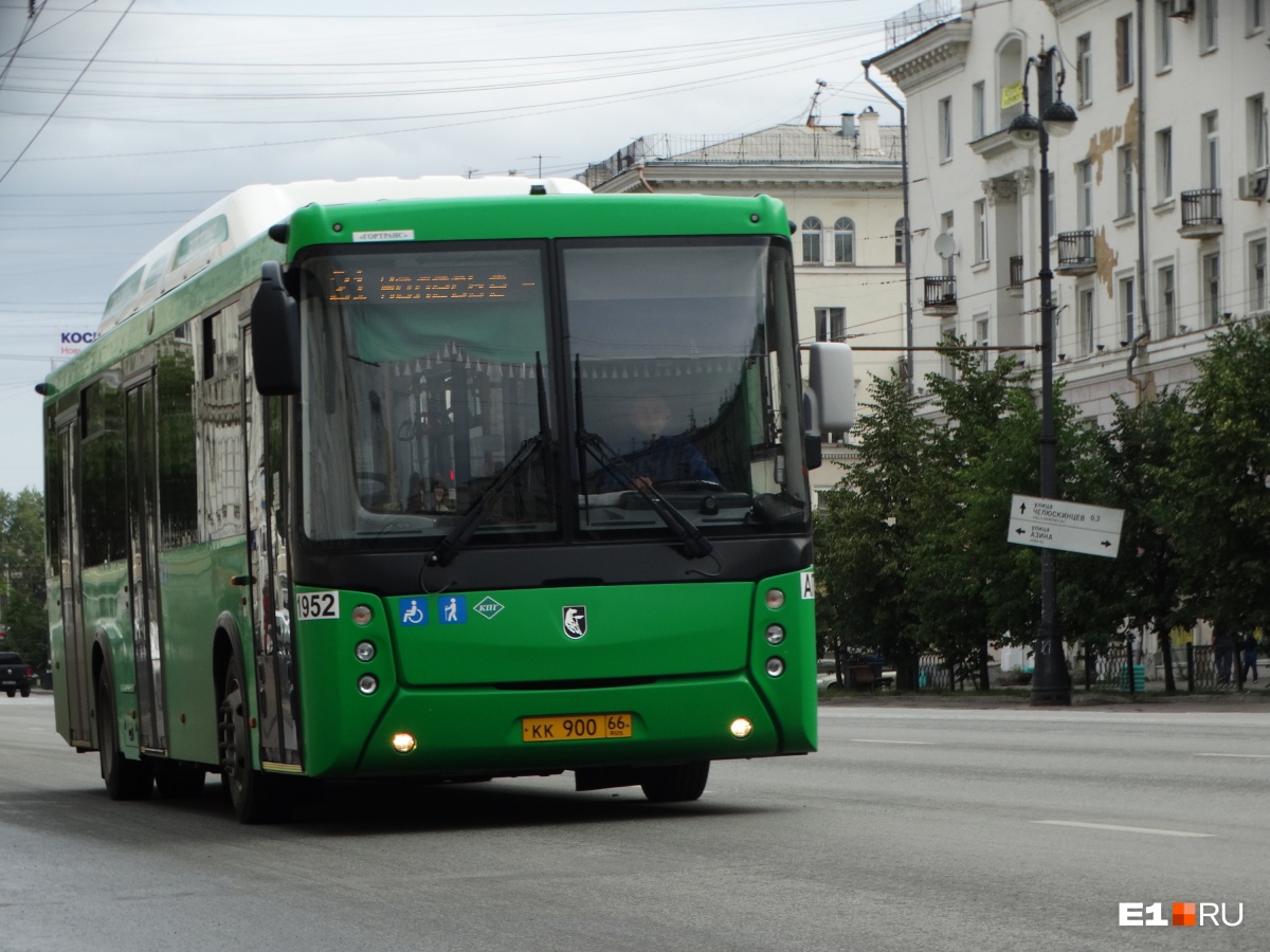 Зеленый 60 градусов. Автобус НЕФАЗ Екатеринбург. Маршрут 816. НЕФАЗ В городе который ездит. Зеленый автобус фото.