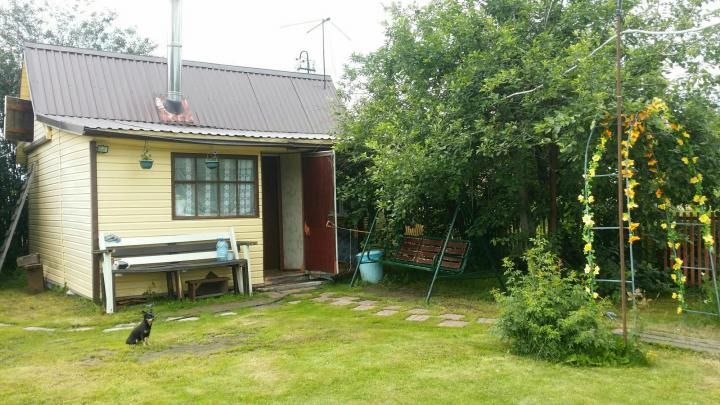 Дача в СНТ «Калинка», пожалуй, ближе прочих подобралась к эталонной даче: беседка, газон, цветы, бассейн — тут даже собачка отдыхает