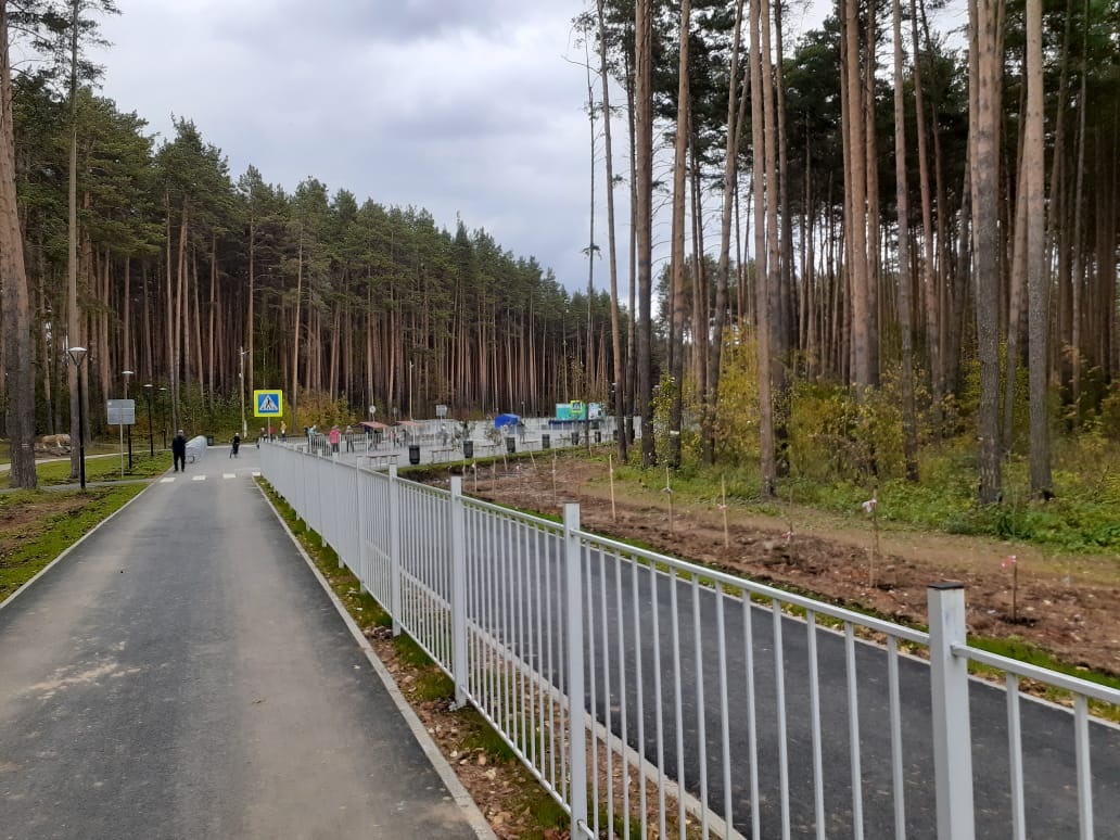 Ткцм березовский. Тропа здоровья Березовский. Велодорожка тропа здоровья Березовский. Тропа здоровья город Березовский. Березовский город Свердловской области тропа здоровья.