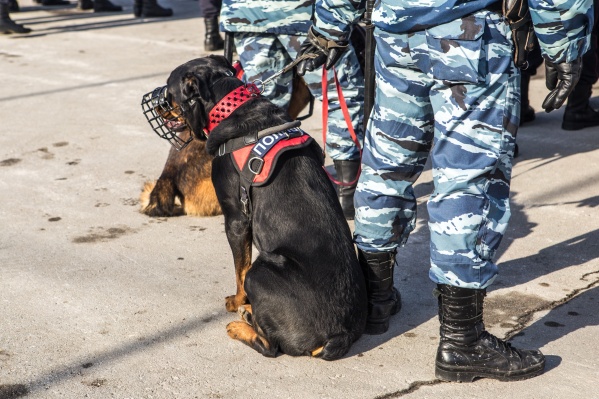 Полицейские обследовали подозрительный предмет и выяснили, что это всего лишь труба Полицейские обследовали подозрительный предмет и выяснили, что это всего лишь труба