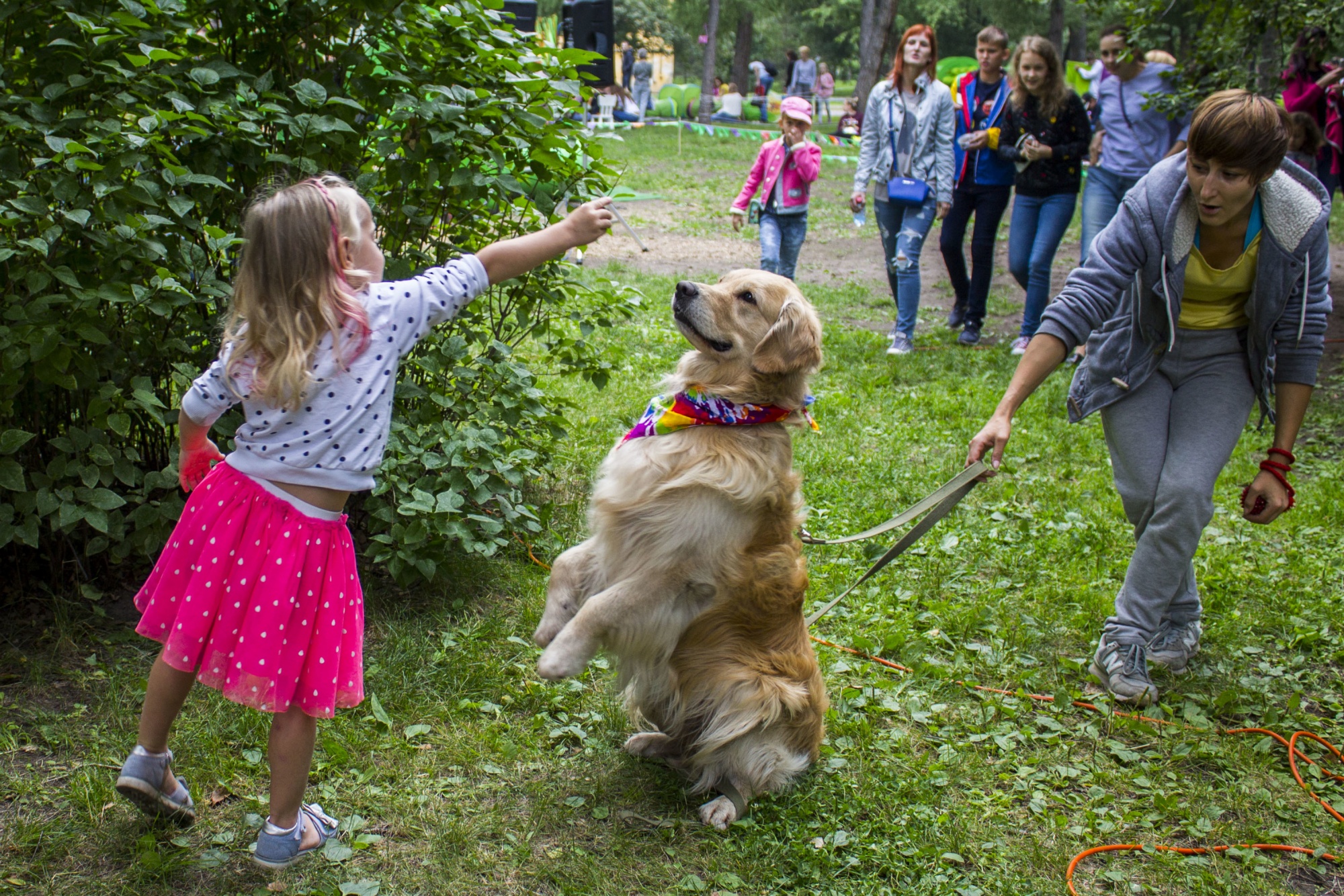 Породистые собаки пришли на фотосессию в Нарымский сквер: они собрали деньги для животных из приюта