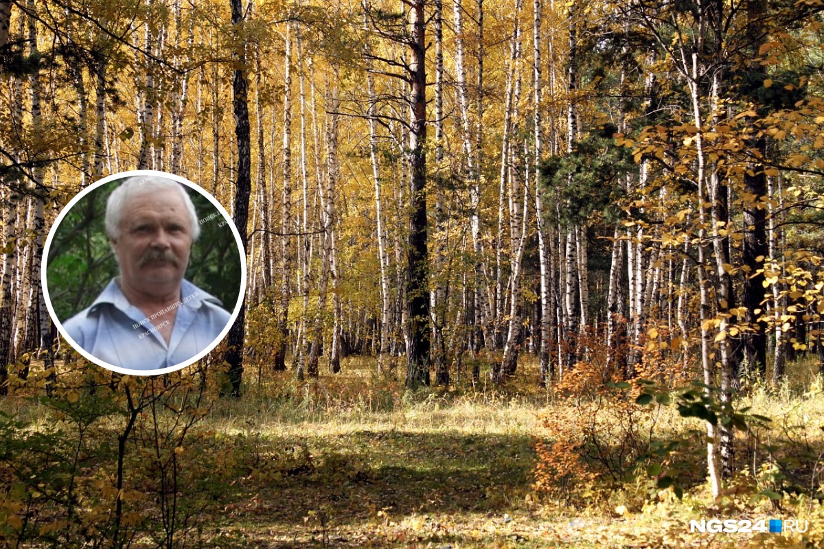 О пропаже 67-летнего Владимира Шатыгина сообщили волонтеры «Поиска пропавших детей»