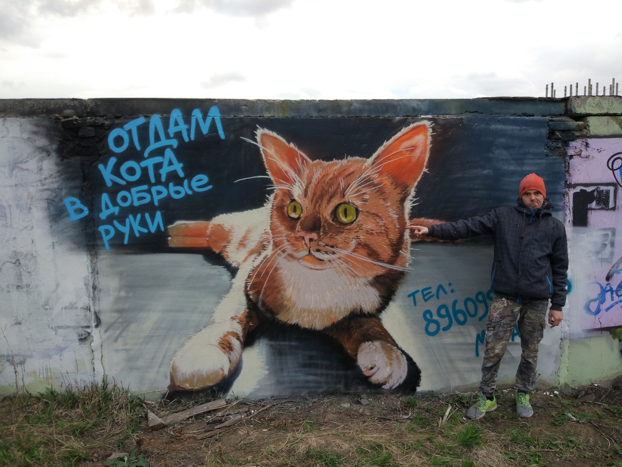 Омич нарисовал портрет рыжего кота по кличке Хурма у Объездной дороги
