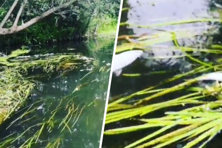 Что случилось с водой в уфе. Смотреть фото Что случилось с водой в уфе. Смотреть картинку Что случилось с водой в уфе. Картинка про Что случилось с водой в уфе. Фото Что случилось с водой в уфе
