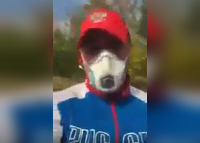 Нападавшие были в респираторах, чтобы их никто не опознал Нападавшие были в респираторах, чтобы их никто не опознал