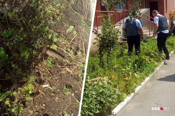 Снаряд обнаружили в одном из ростовских дворов жилого дома Снаряд обнаружили в одном из ростовских дворов жилого дома