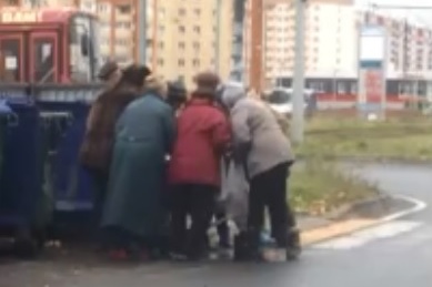 Пенсионеры набросились растаскивать просроченные продукты из помойки Пенсионеры набросились растаскивать просроченные продукты из помойки
