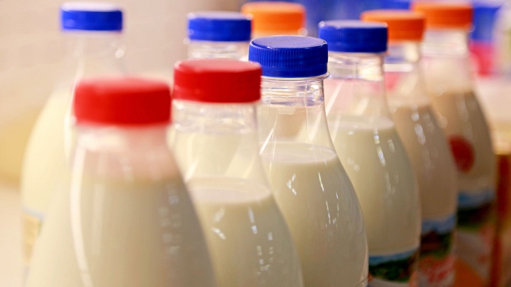 «Реакция будет стремительной и жесткой»: Радий Хабиров о том, что ждет продавцов суррогатного молока