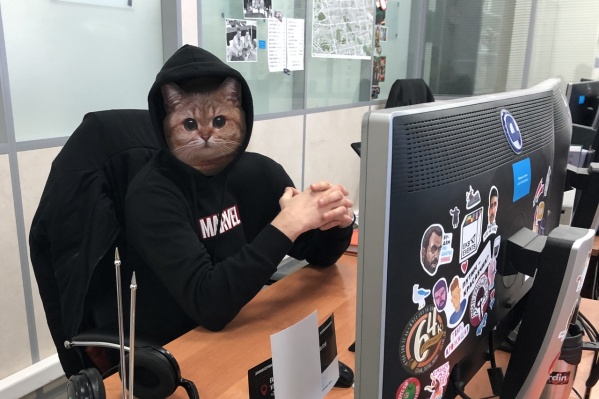 Лучших котиков выбрал наш эксперт Лучших котиков выбрал наш эксперт