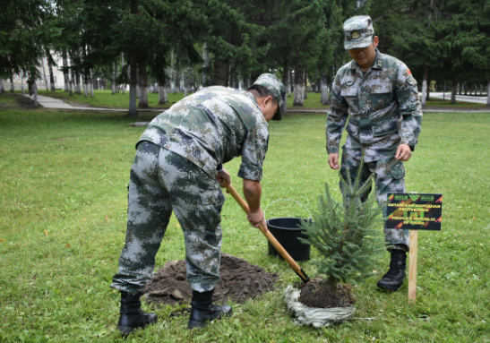 Военные из Китая и Зимбабве высадили в Новосибирске голубые ели