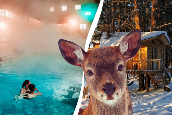 Записывайте маршруты и планируйте зимние выходные так, чтобы провести их весело и продуктивно. Чтобы съездить на ферму с животными, побывать на горячем источнике и пожить в домике на дереве — у вас целых восемь дней!