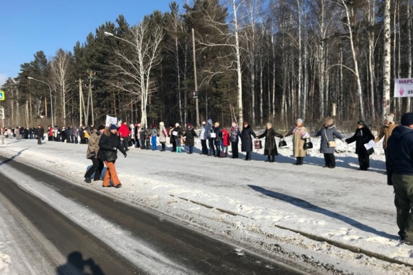 Жители Краснолесья устраивали флешмобы, чтобы защитить лес Жители Краснолесья устраивали флешмобы, чтобы защитить лес