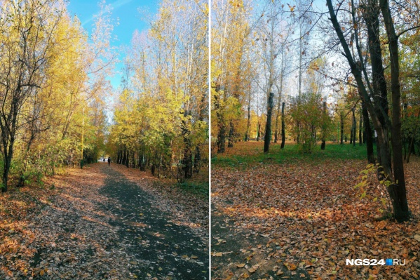 Осень в парке «Троя» Осень в парке «Троя»