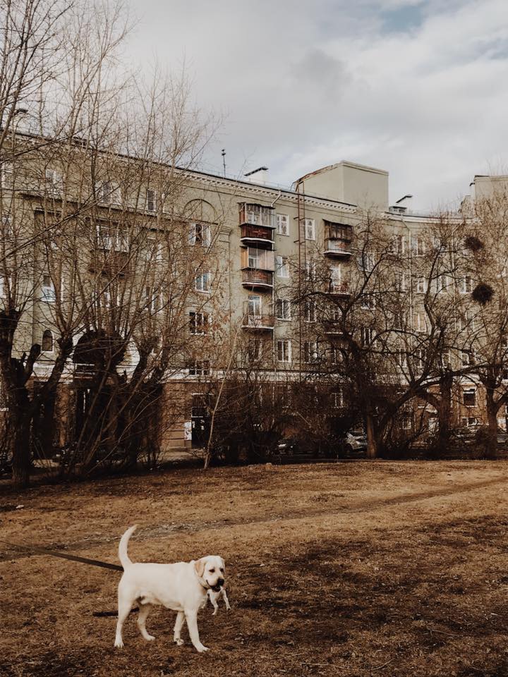 «Не представляла, что в России есть ещё один такой мегаполис»: москвичка — о Екатеринбурге