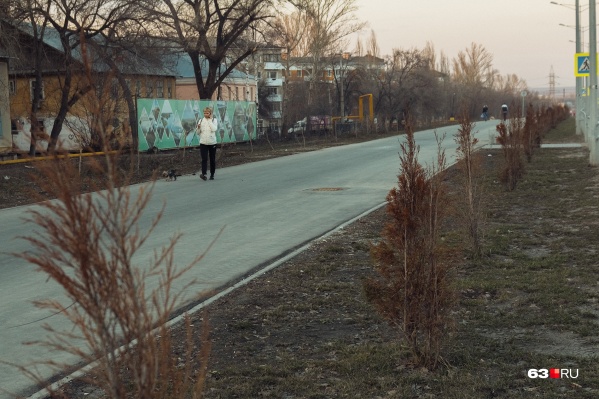 Туи не выдержали самарской погоды Туи не выдержали самарской погоды
