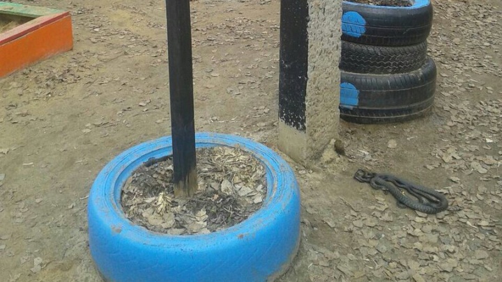 «Клубок змей на площадке детского сада в Арзамасе». Страшилка оказалась фейком
