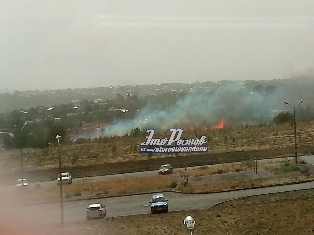 В Ростове на Суворовском сгорели молодые клёны в новом парке