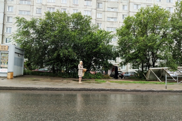 Людям приходится стоять под дождем, пока павильон мирно нежится в кустах Людям приходится стоять под дождем, пока павильон мирно нежится в кустах