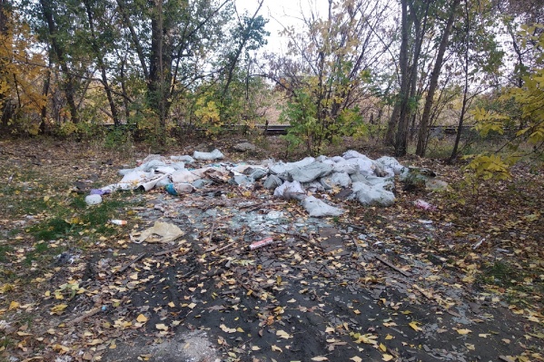 Волгоградец нашёл груды мусора рядом с остановкой «Хлебозавод» Волгоградец нашёл груды мусора рядом с остановкой «Хлебозавод» 