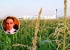 Второй пилот севшего в кукурузном поле самолета Георгий Мурзин попал в больницу