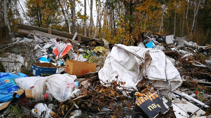 Нижегородская область вошла в пятерку самых грязных регионов России