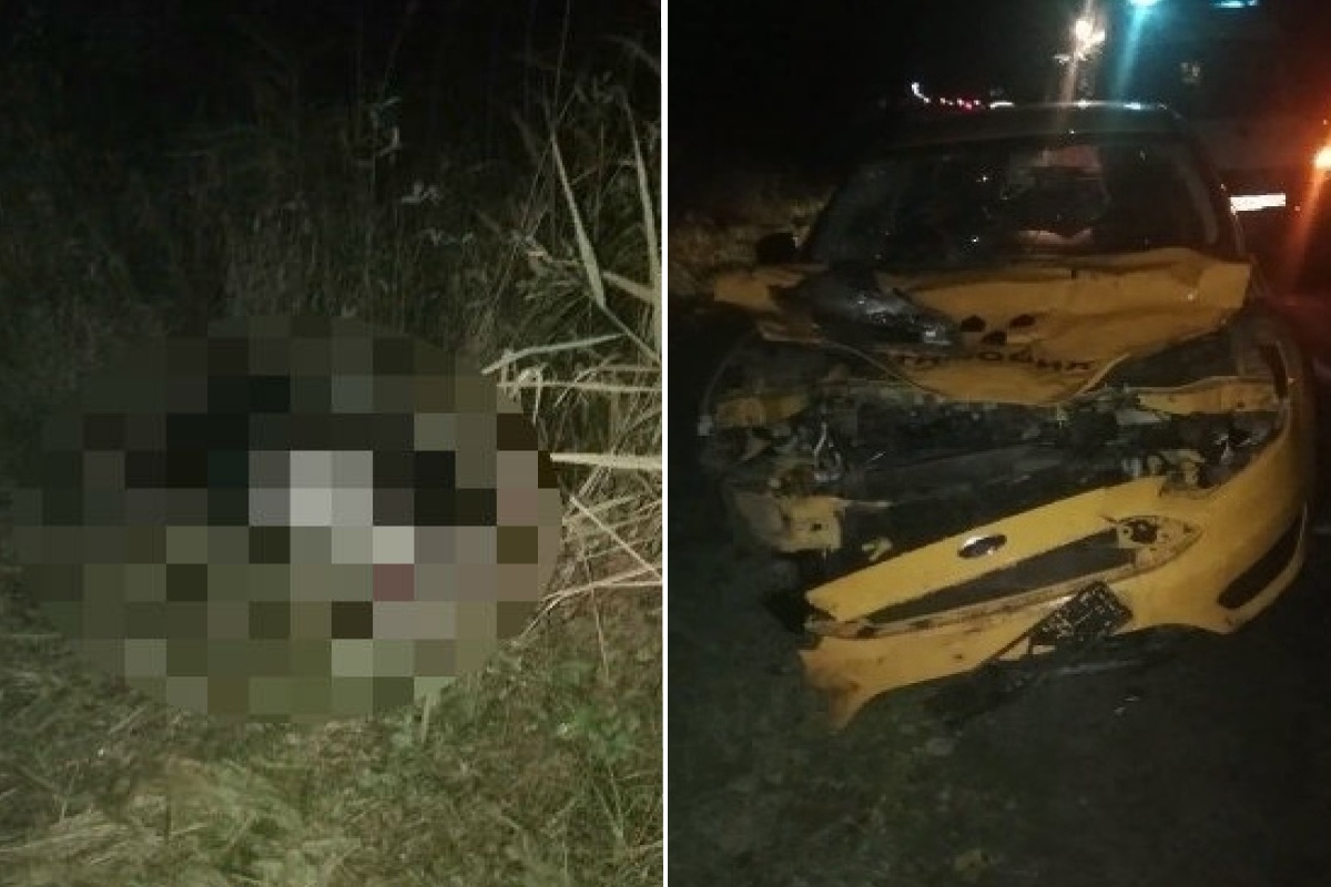 Животное погибло: в Ярославской области такси столкнулось с лосем