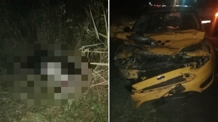 Животное погибло: в Ярославской области такси столкнулось с лосем