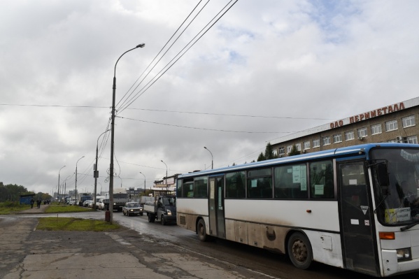 В пробках стоят и легковушки, и автобусы В пробках стоят и легковушки, и автобусы