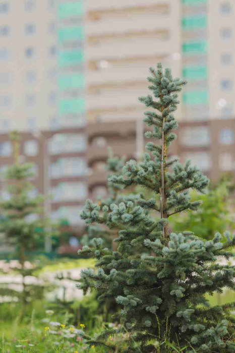Большие метры для большого города: в этом году уральцы увидят готовые квартиры, о которых мечтали