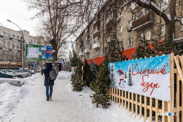 Ёлочные базары открылись по всему городу в десятых числах декабря и проработают до конца года — на некоторые можно будет заглянуть и в январские праздники Ёлочные базары открылись по всему городу в десятых числах декабря и проработают до конца года — на некоторые можно будет заглянуть и в январские праздники