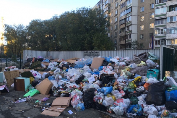 В редакцию 74.ru за утро понедельника сообщили более чем о 50 неубранных контейнерных площадках В редакцию 74.ru за утро понедельника сообщили более чем о 50 неубранных контейнерных площадках