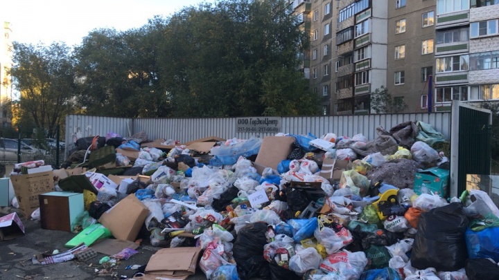 Глава Челябинска Евгений Тефтелев поблагодарил губернатора за «колоссальный вывоз мусора»