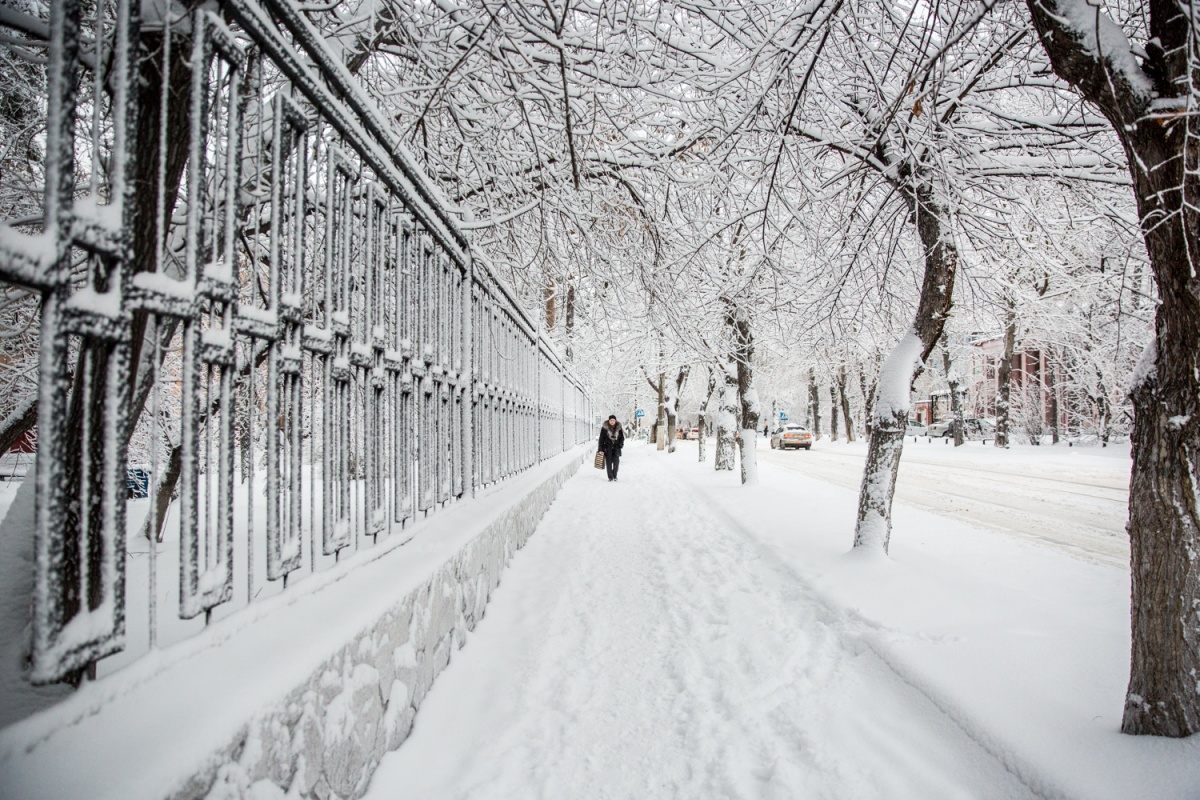 Какая будет зима в Новосибирске в 2019 году новые фото Какая будет зима в Новосибирске в 2019 году новые фото