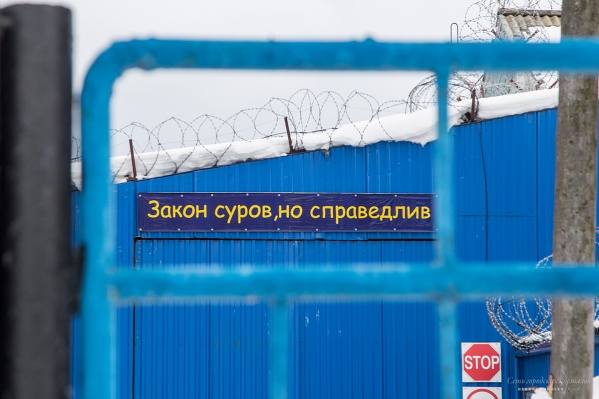 В первой половине 2017 года в России за террористическую деятельность было осуждено 205 человек В первой половине 2017 года в России за террористическую деятельность было осуждено 205 человек