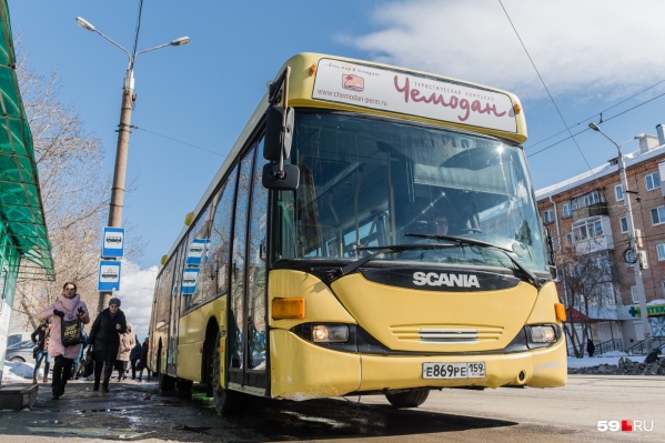 Остановка динамо пермь какие автобусы