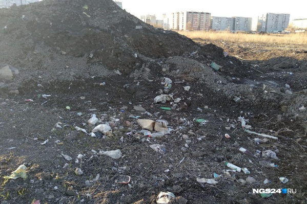 Так сегодня выглядит поляна вдоль Енисейского тракта в «Солнечном» Так сегодня выглядит поляна вдоль Енисейского тракта в «Солнечном» 