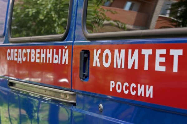 Дело расследует СК России Дело расследует СК России